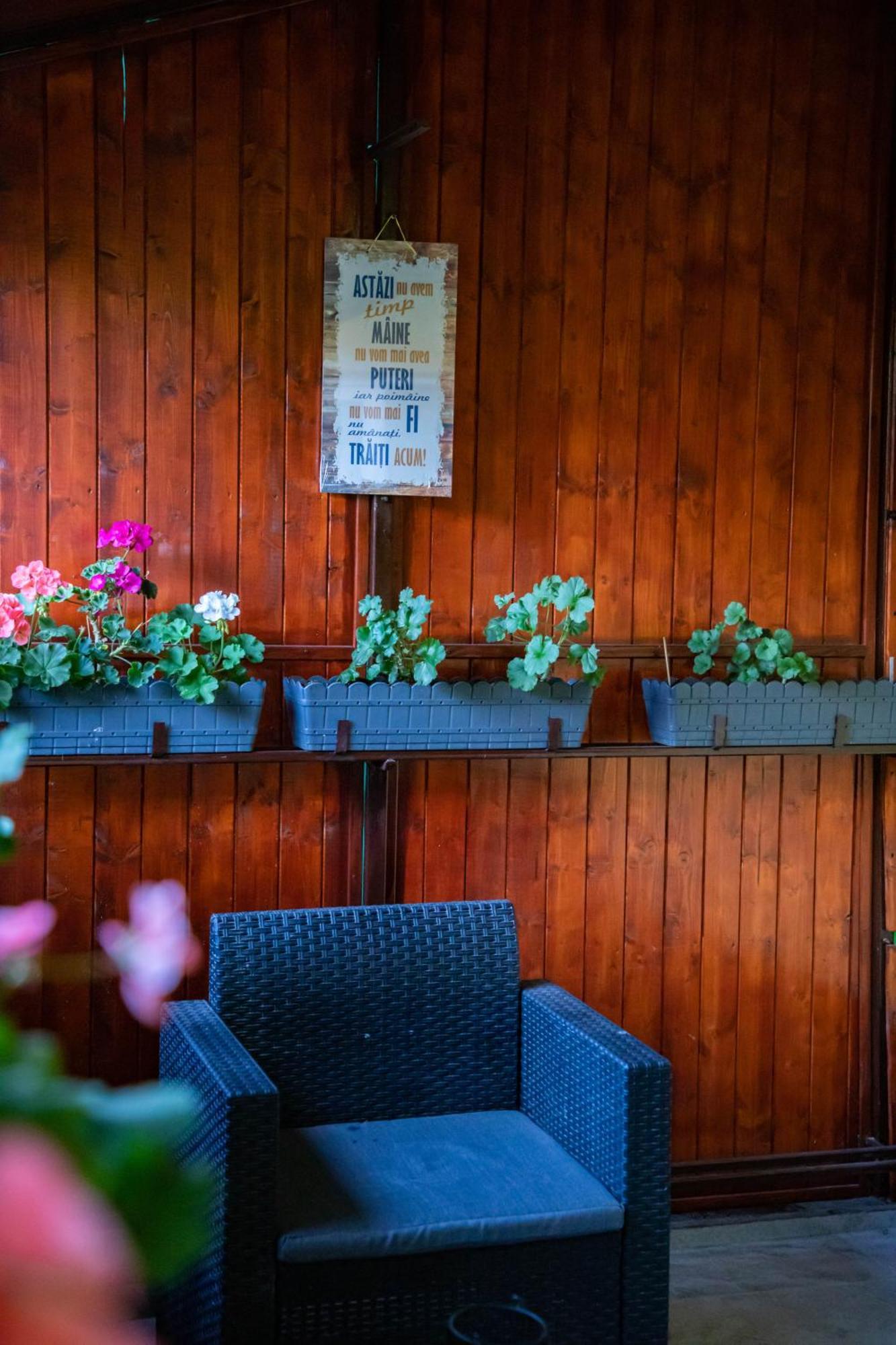 Sib Jo Central Apartments Сибиу Экстерьер фото